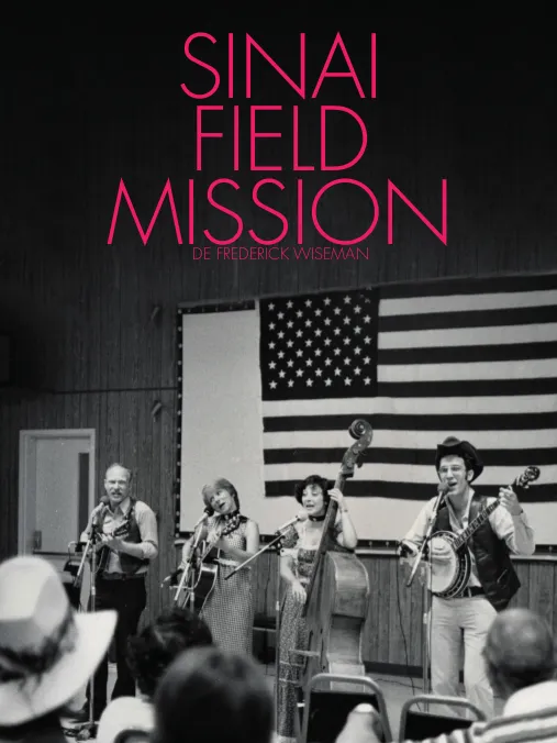 Sinai field mission