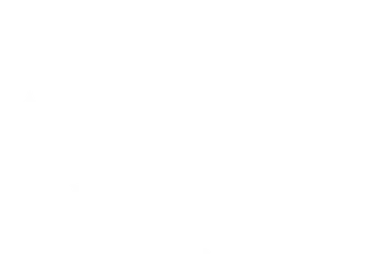 Life After Life