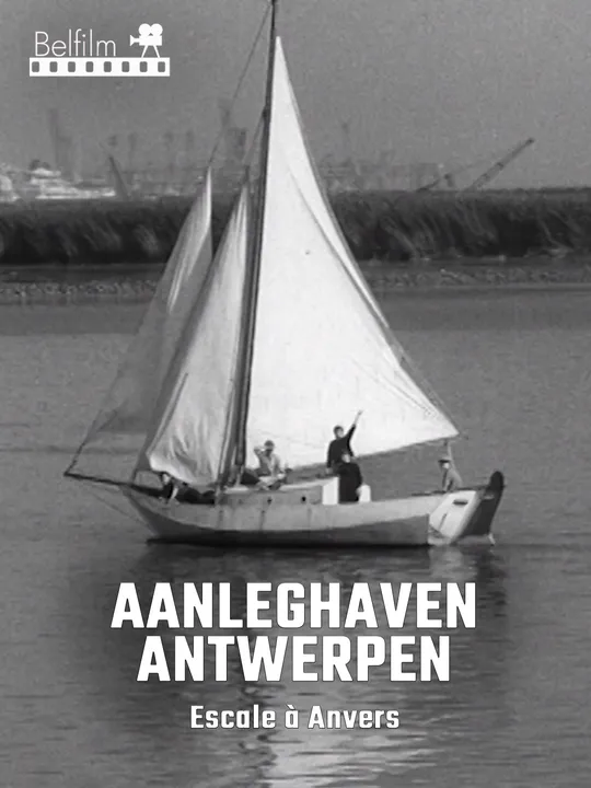 Aanleghaven Antwerpen