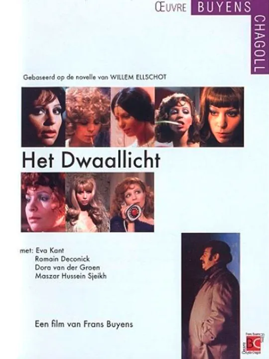 Het Dwaallicht