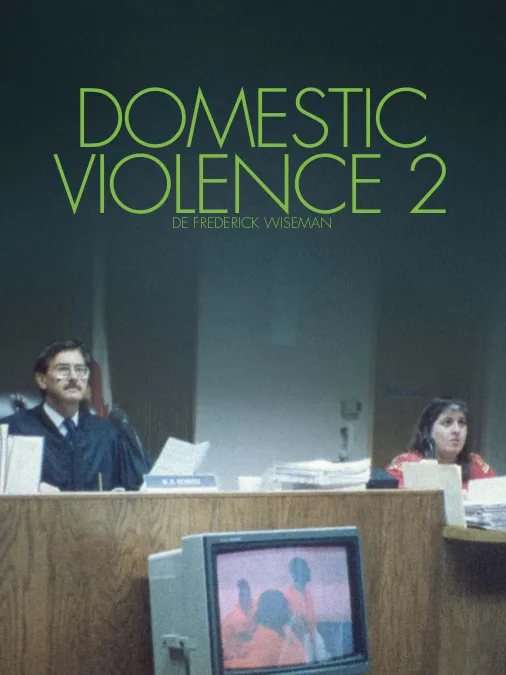 Domestic Violence 2