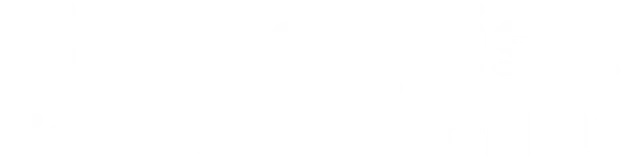 mt-title