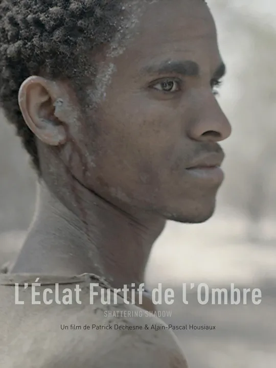 L'éclat furtif de l'ombre