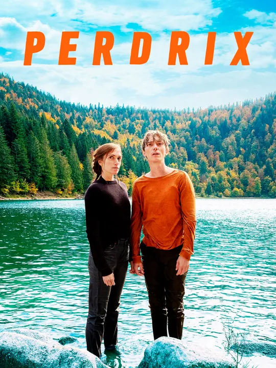 Perdrix