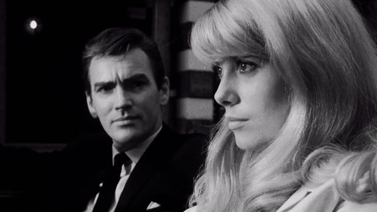 Ekel background image