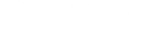 mt-title