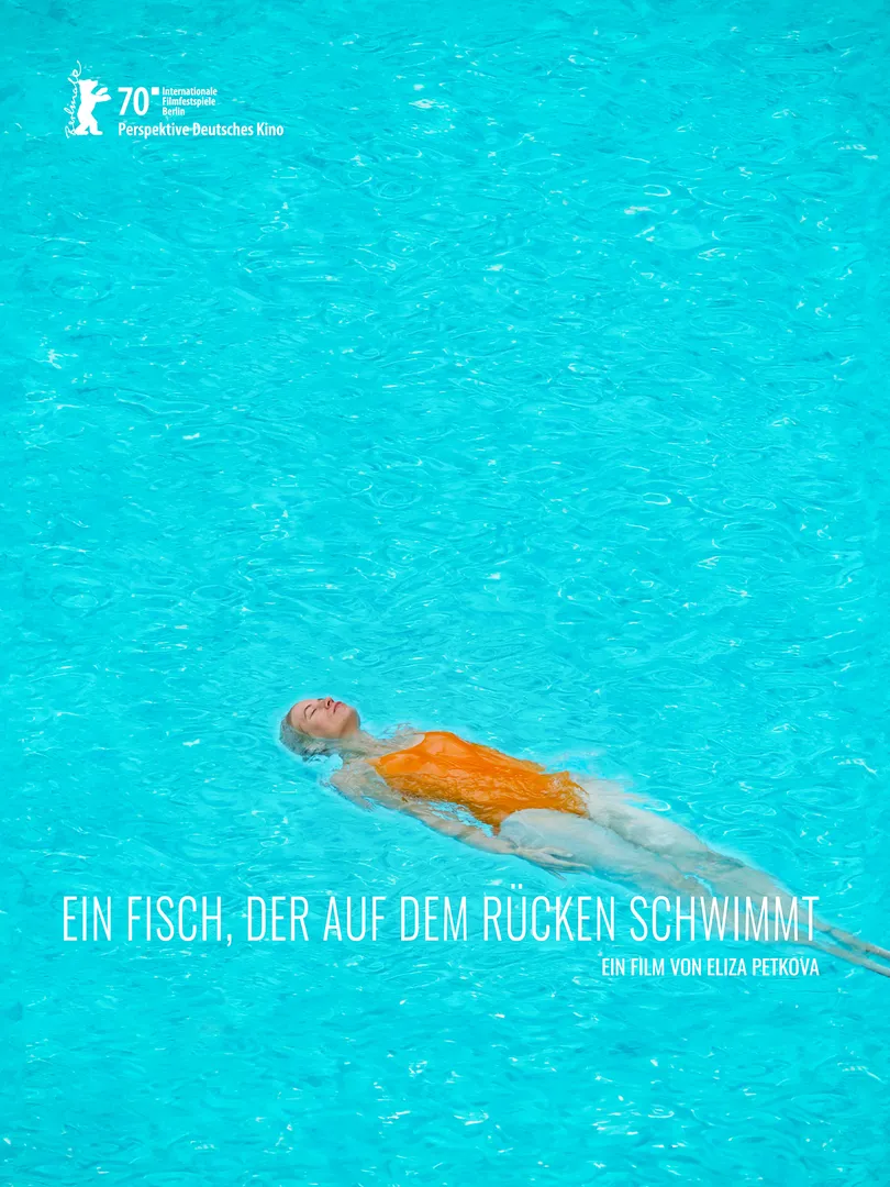 A Fish Swimming Upside Down