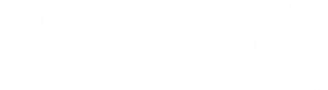 mt-title