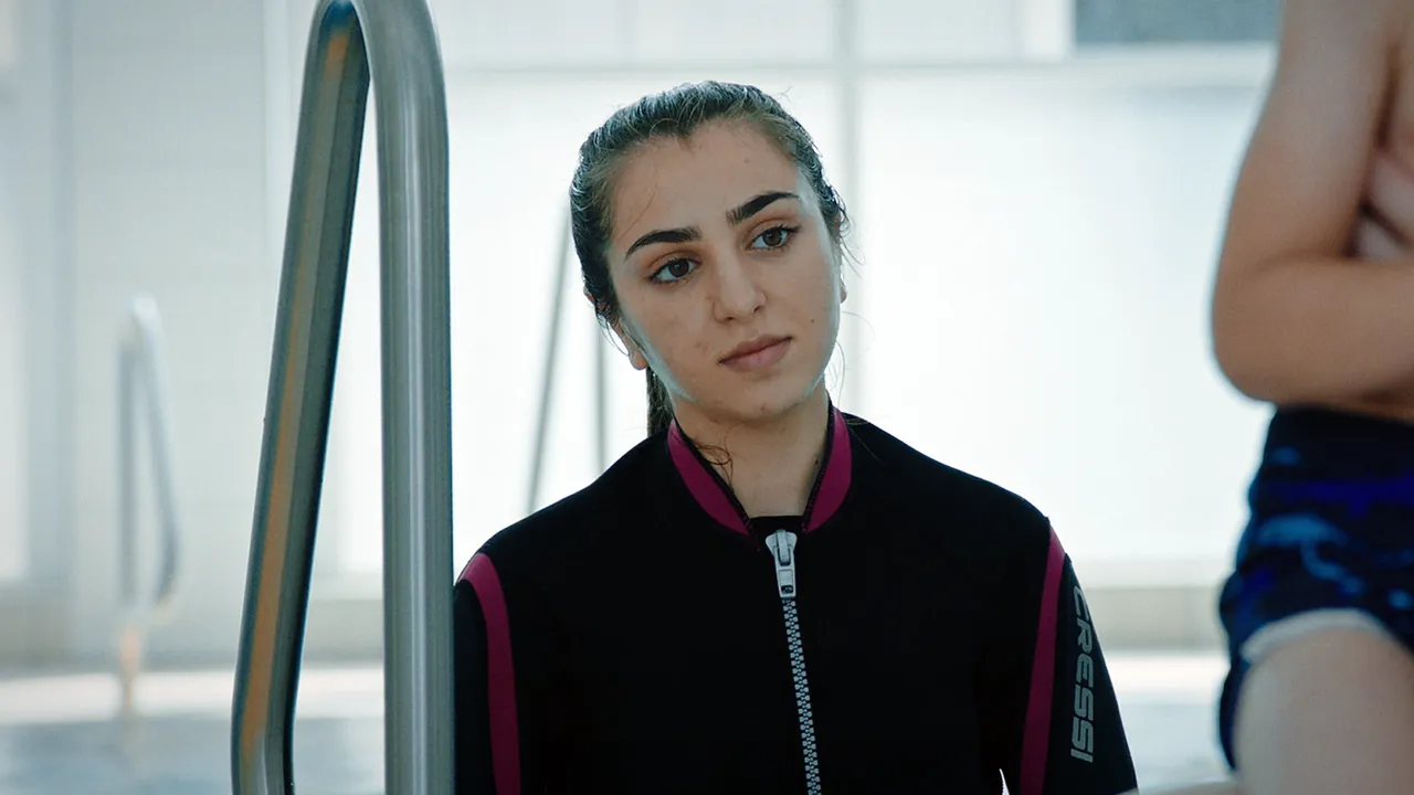 Seahorse background image