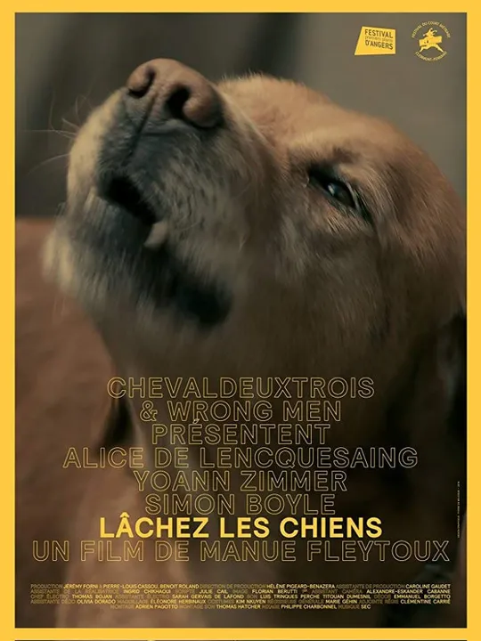 Lâchez les chiens