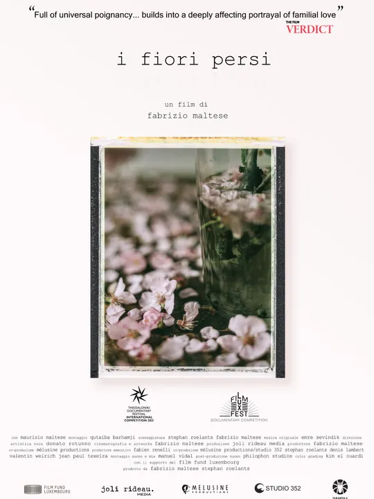 I fiori persi