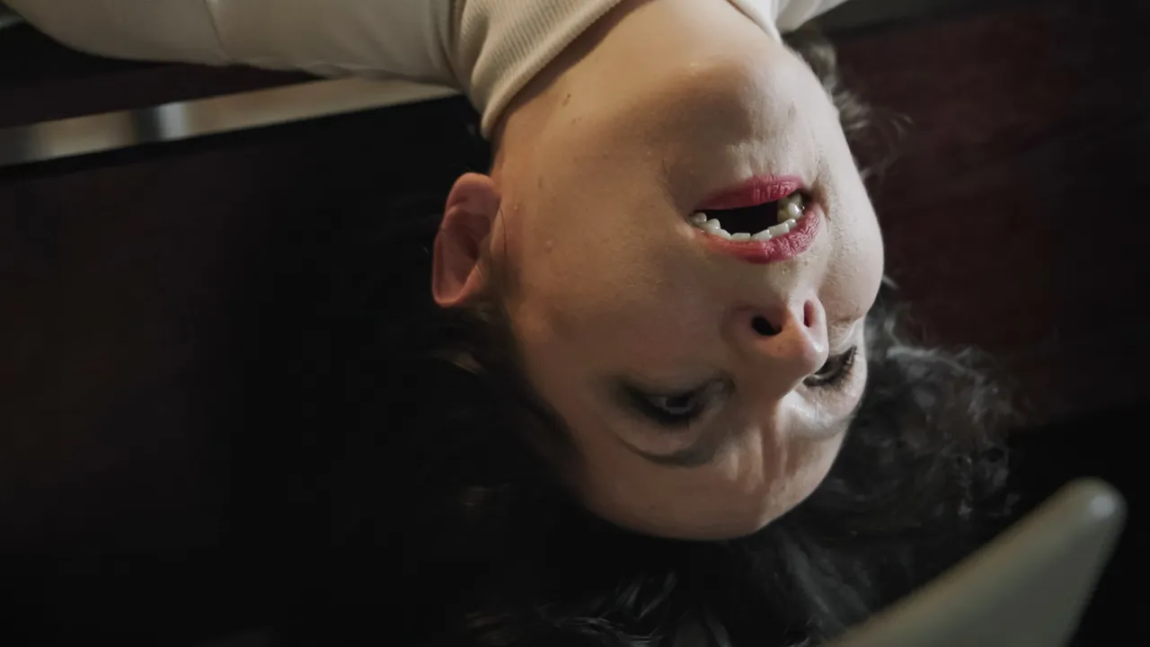 Immerhin: Die Kunst, die Kunst background image