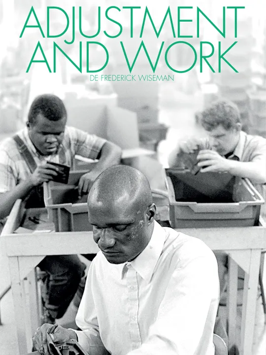 Adjustment and Work