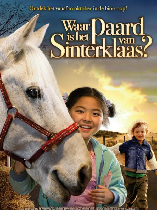 Cover van Waar is het paard van Sinterklaas?