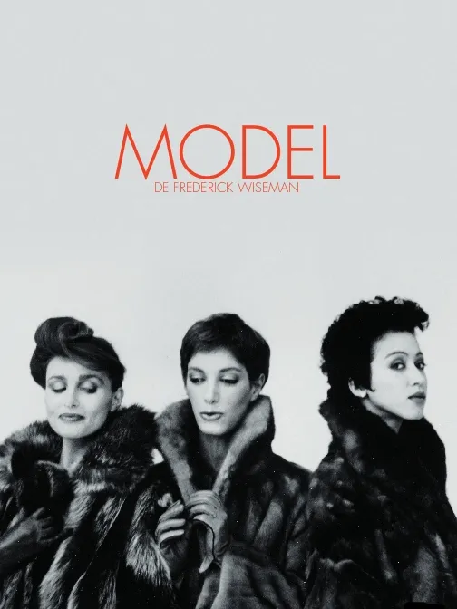 Model