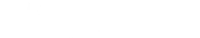 mt-title