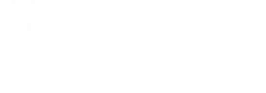 The Disobedient