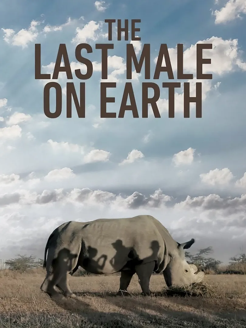 The Last Male on Earth
