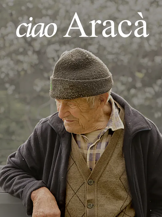 Ciao Aracà