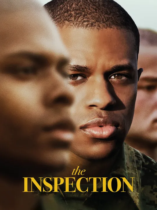 The Inspection