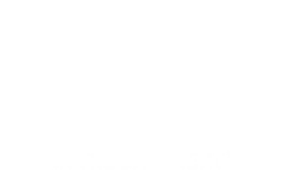 mt-title