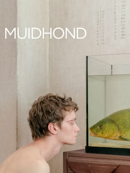 Muidhond