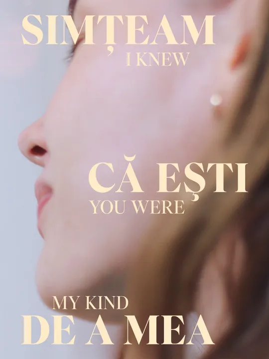 I Knew You Were My Kind