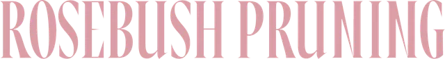mt-title