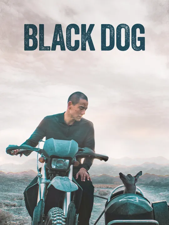 Black Dog - Weggefährten