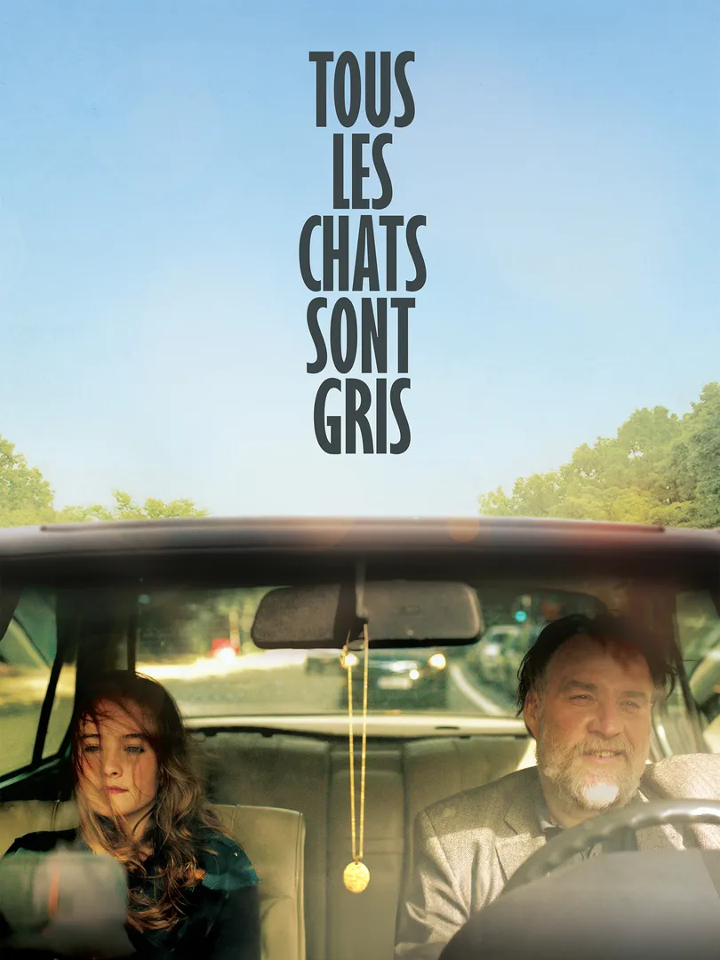 Tous les chats sont gris