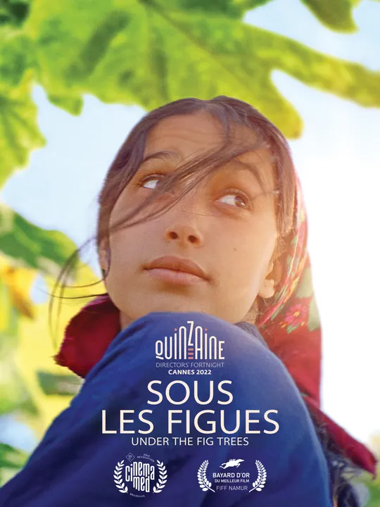 Sous les figues