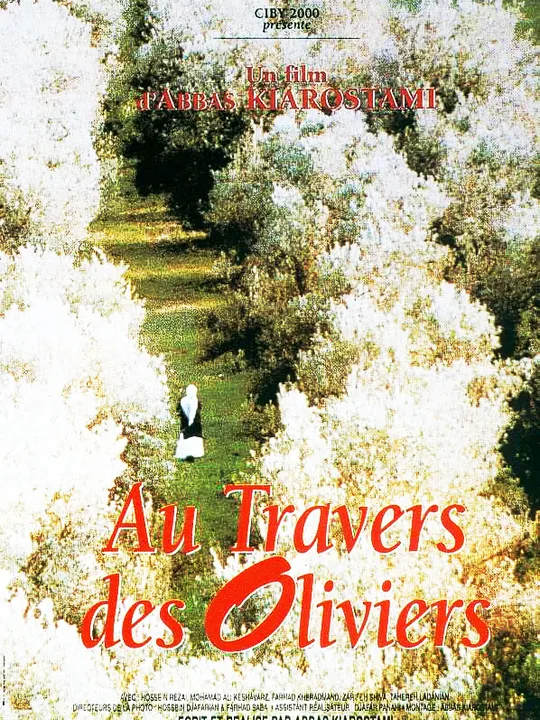 Au travers des oliviers