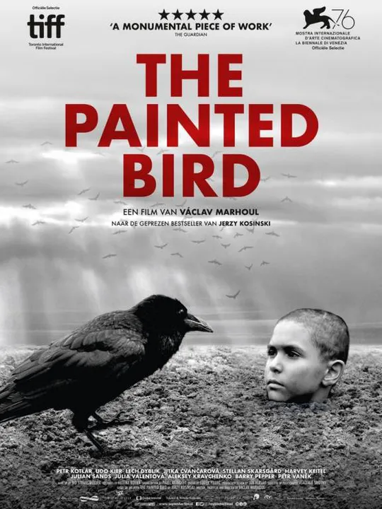 The Painted Bird