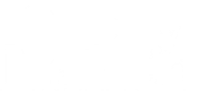 mt-title