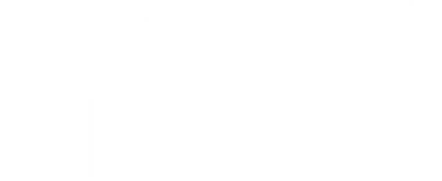 mt-title