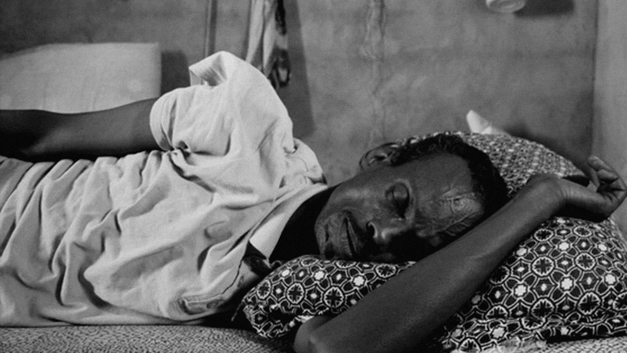 Life on the Horn background image