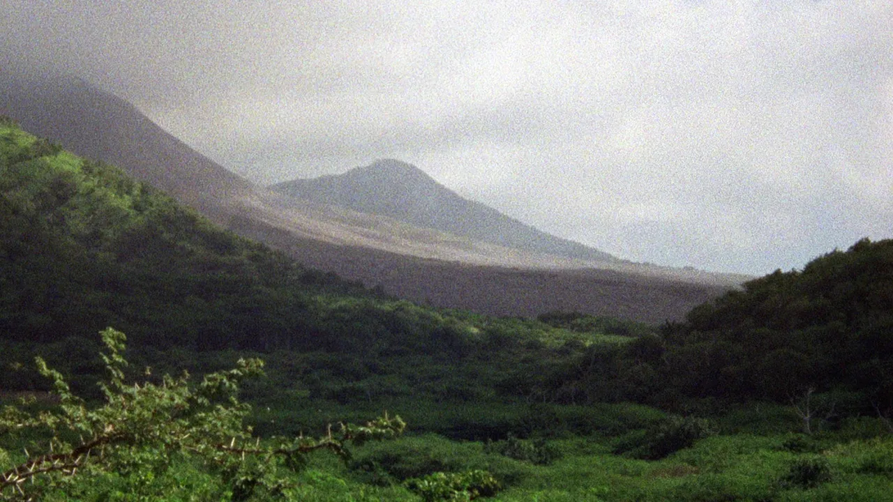 Vue Pointe background image