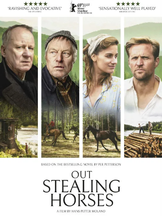 Out stealing horses