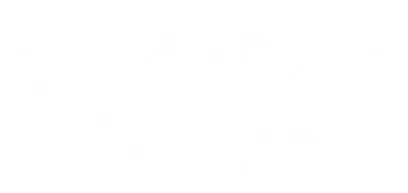 Palermo oder Wolfsburg