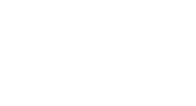 mt-title