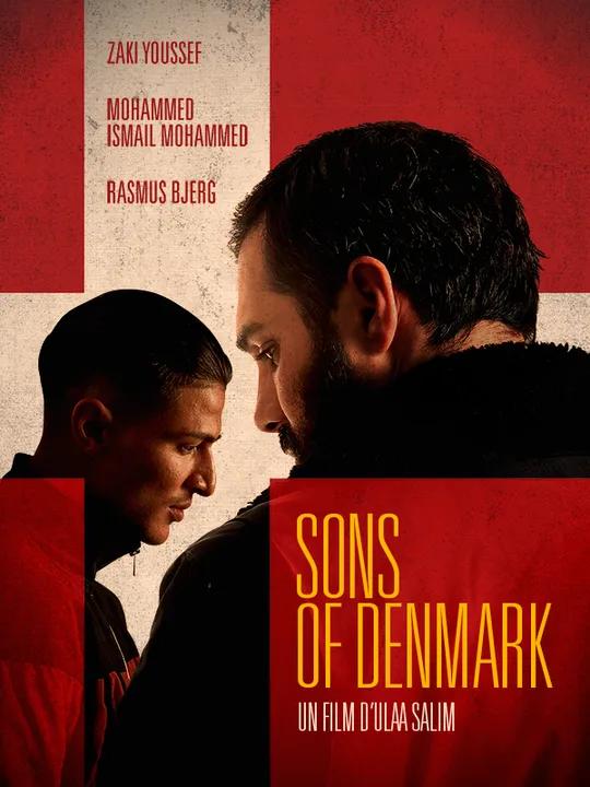 Danmarks sonner