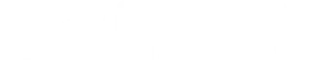mt-title