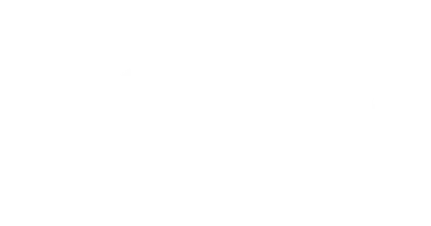 mt-title