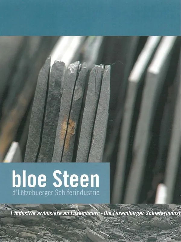 Bloe Steen