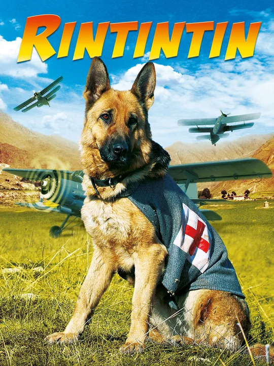 Rintintin